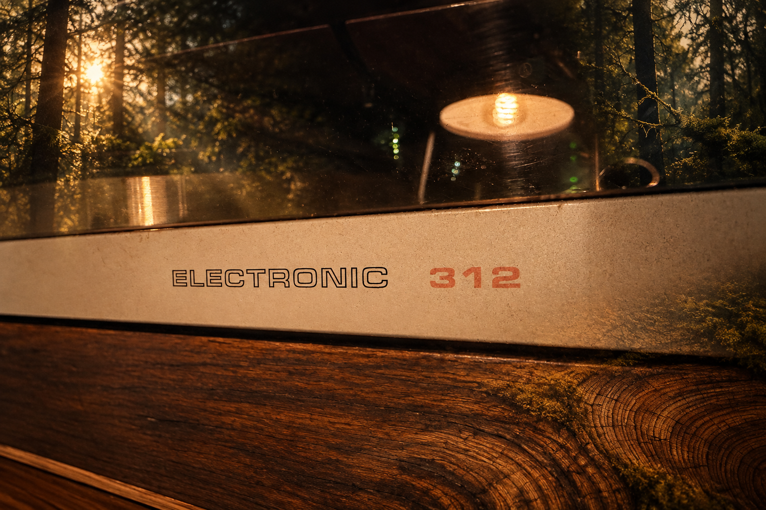 Fotografi av Electronic 312 bearbeidet med skoglys og årringer som kunstneriske naturelementer.